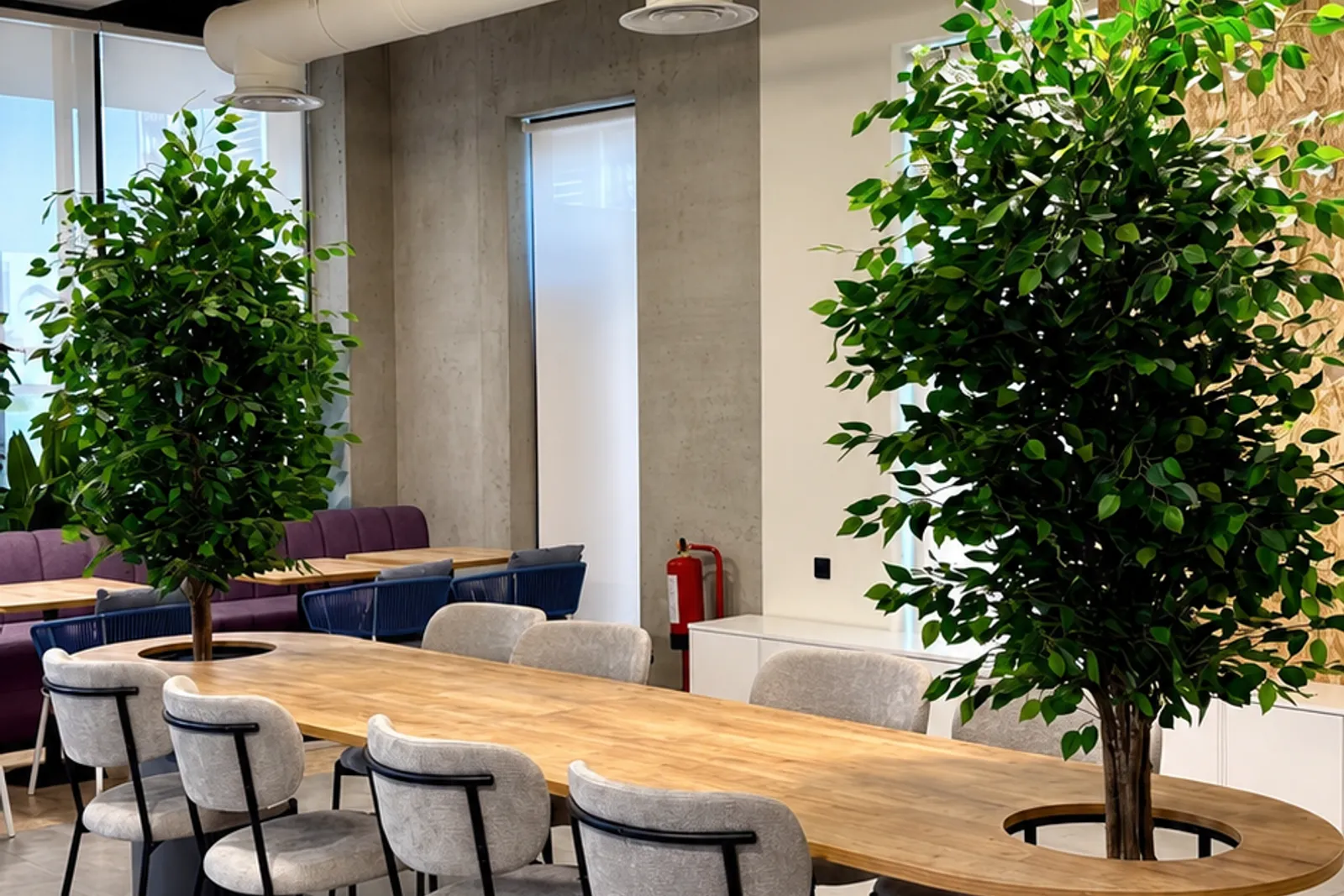 Reviva Offices